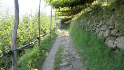 foto escursione